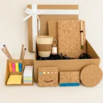 Eco-Friendly Office Gift Set & Stationery- For Diwali , New Year & Onboarding Gifting