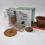 The Parnika DIY Plantation Kit - Spinach