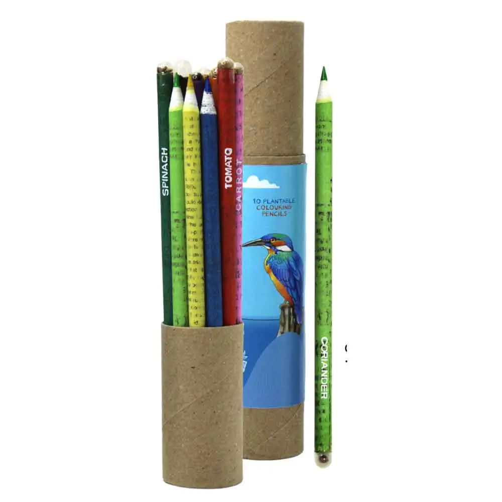 254c90a473bd155fca37572d441d02c4.webp KINGFISHER Colouring Seed Pencils - Image 1