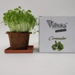The Parnika DIY Plantation Kit - Coriander Plant