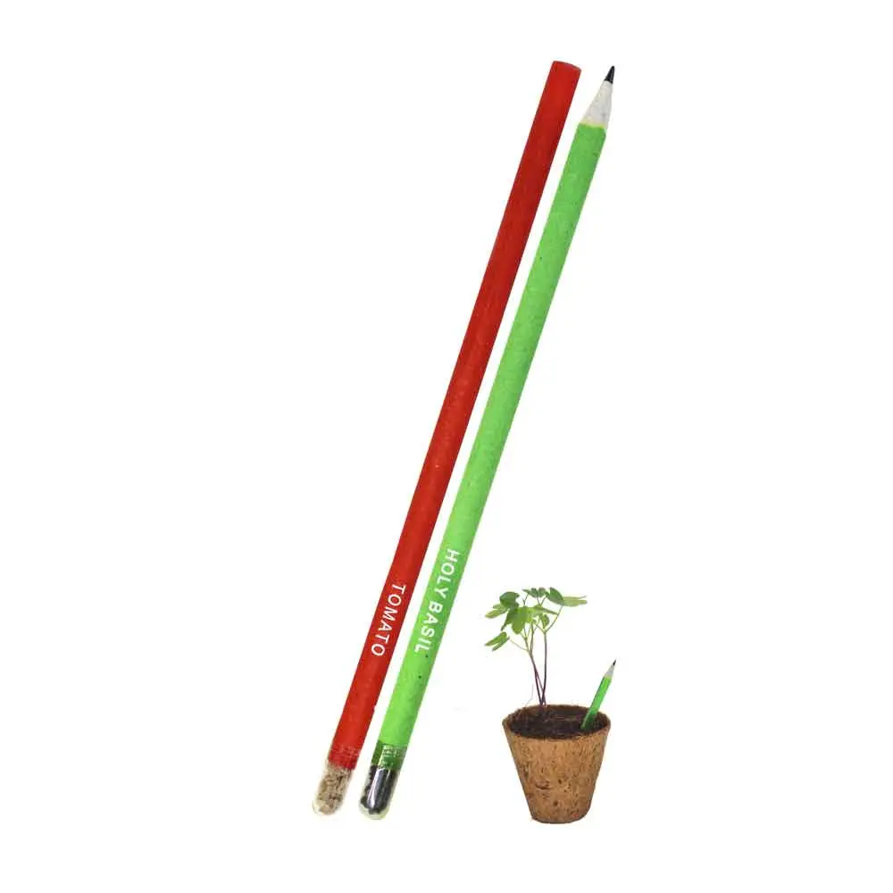 4c3fbd7959a7fb5864263b7d4521a577.webp SEED PENCIL - Image 1
