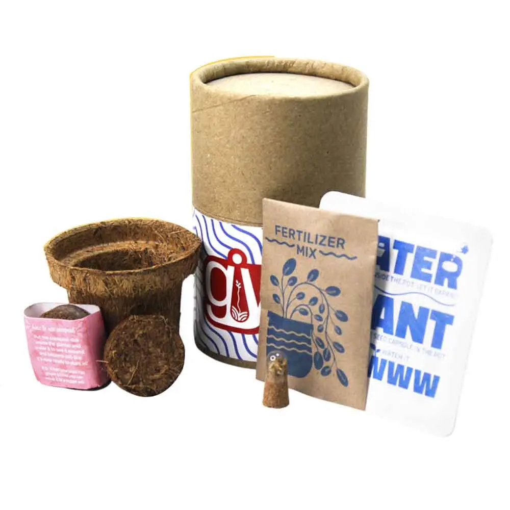 63e062b1c2db3302d5effc74efc23e80.webp MINI GROW PRO (R) Round - Image 1