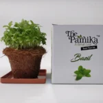 The Parnika DIY Plantation Kit - Basil Plant