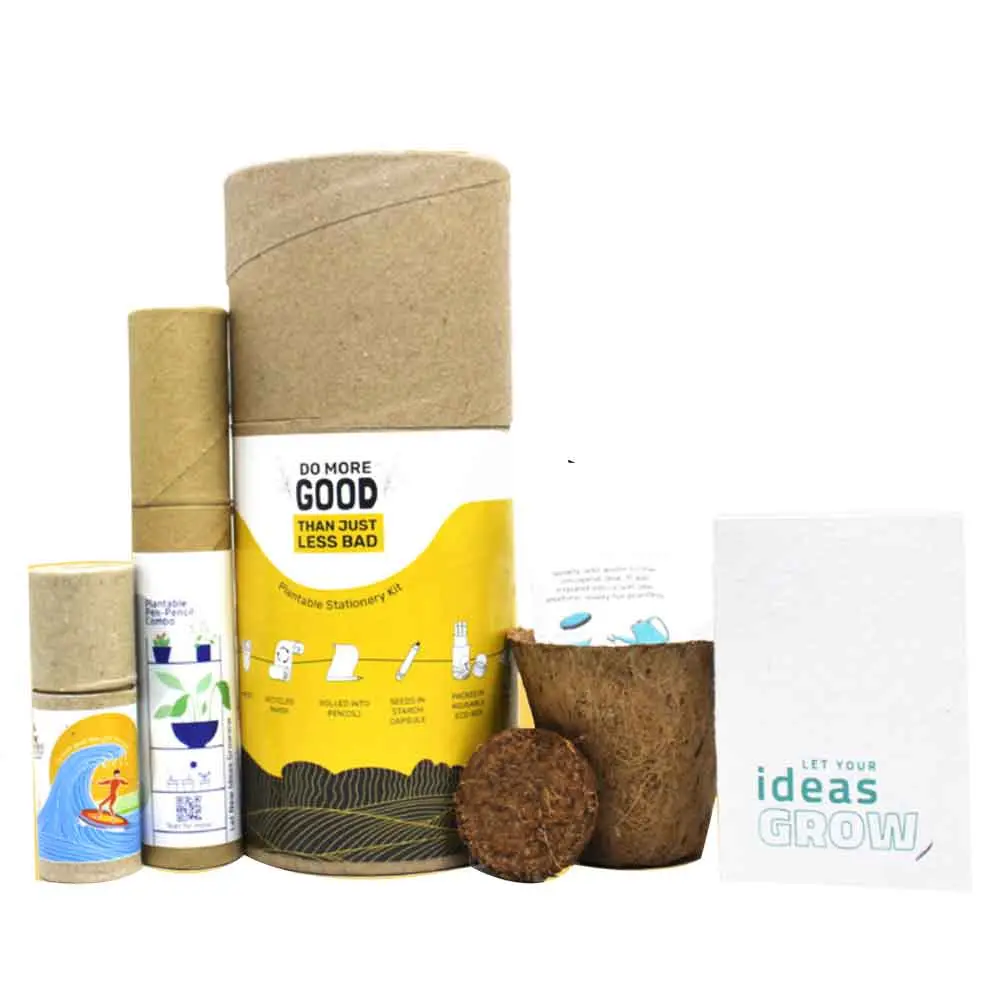 87bf836a38c43120974c86ecc07a325c.webp Mega Grow Kit Plantable Stationery Mix - Image 1