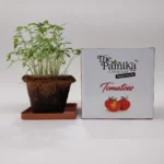 The Parnika DIY Plantation Kit - Tomato
