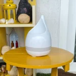 EO- SPROUT - Botanical Planter/Pen Stand