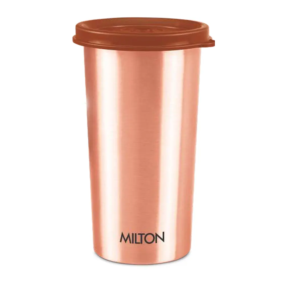 e18769f3b27406877999479483d75365.webp MILTON - COPPER TUMBLER BOTTLE - Image 1