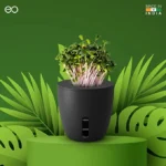 EO -TERRA - Plant Pot