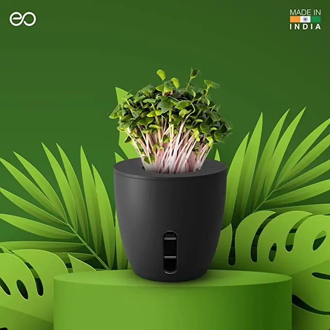 eafdd7c63f43e334908302369003fc5c.webp EO -TERRA - Plant Pot - Image 1
